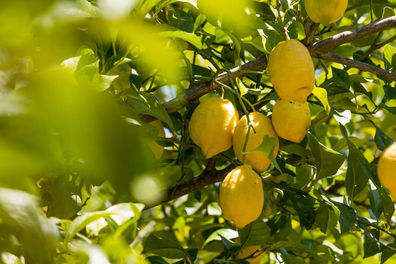 Agroturisme Can Planells Sant Miquel De Balansat ภายนอก รูปภาพ