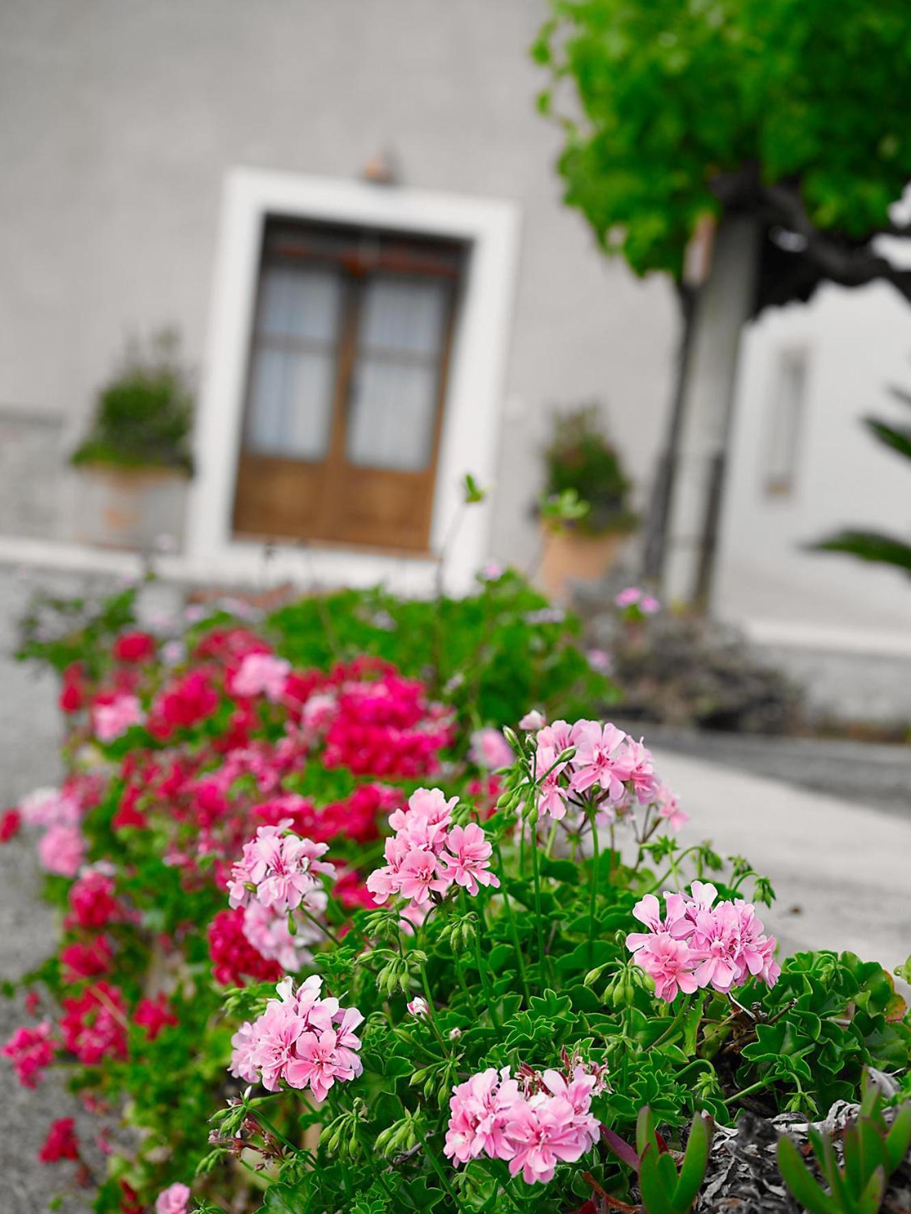 Agroturisme Can Planells Sant Miquel De Balansat ภายนอก รูปภาพ