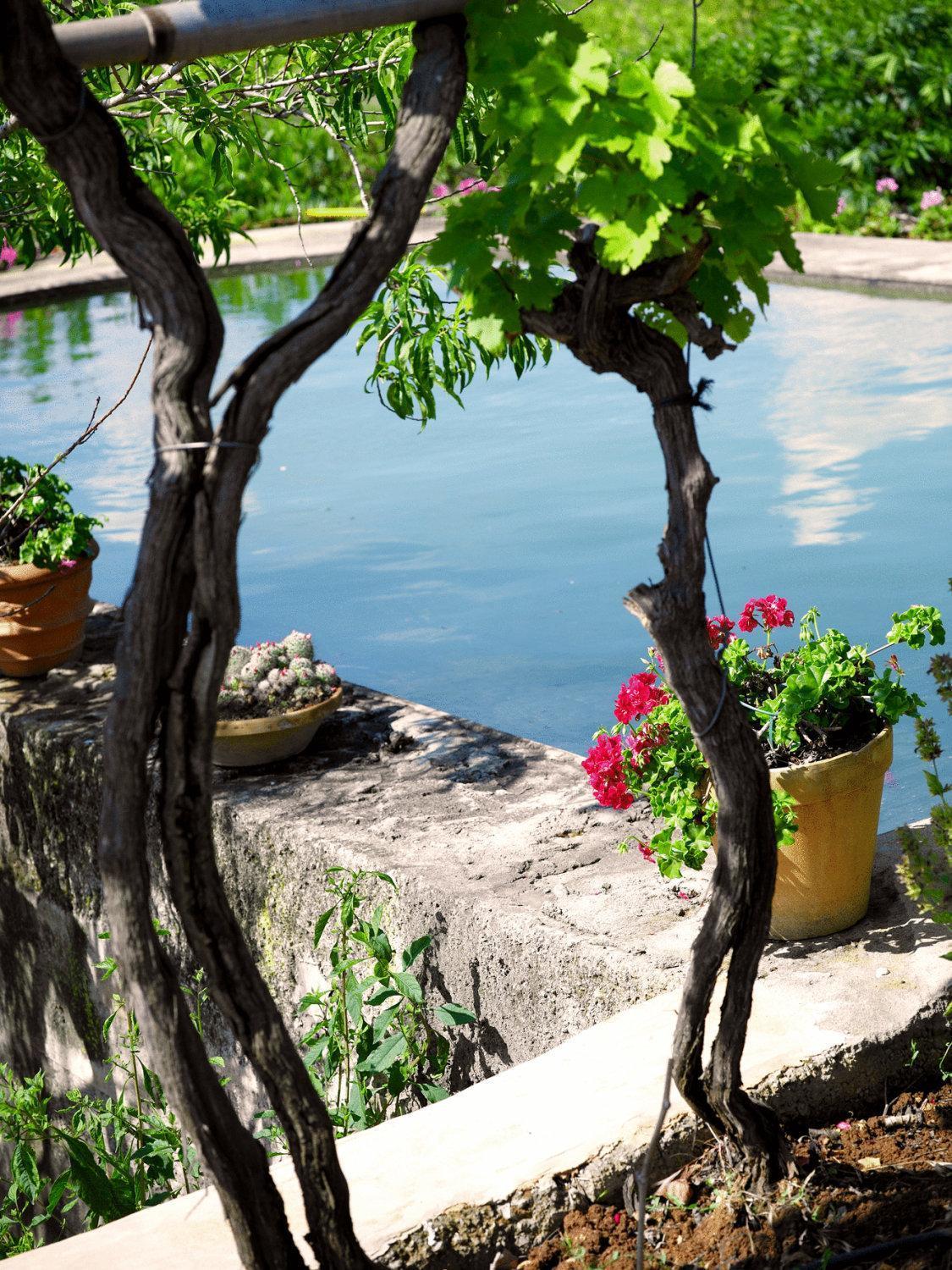 Agroturisme Can Planells Sant Miquel De Balansat ภายนอก รูปภาพ