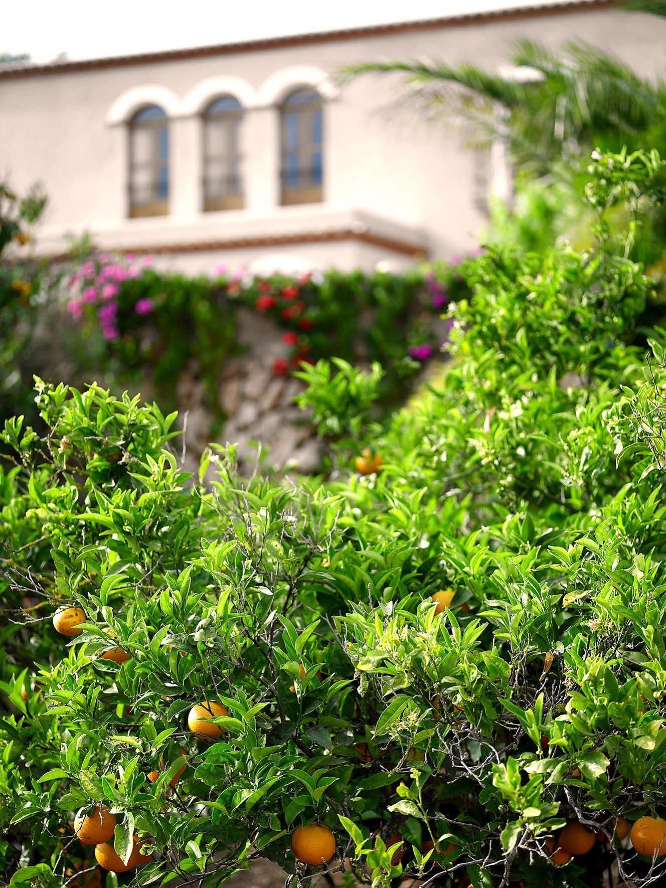 Agroturisme Can Planells Sant Miquel De Balansat ภายนอก รูปภาพ